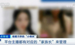 91直播主播怎么抽成的,抽成机制深度解析